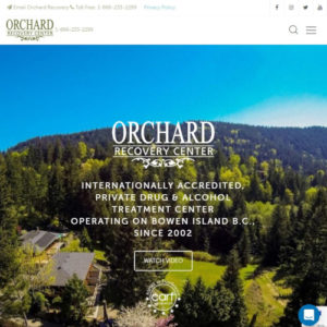Image of Orchard Recovery Center Website